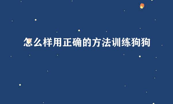 怎么样用正确的方法训练狗狗