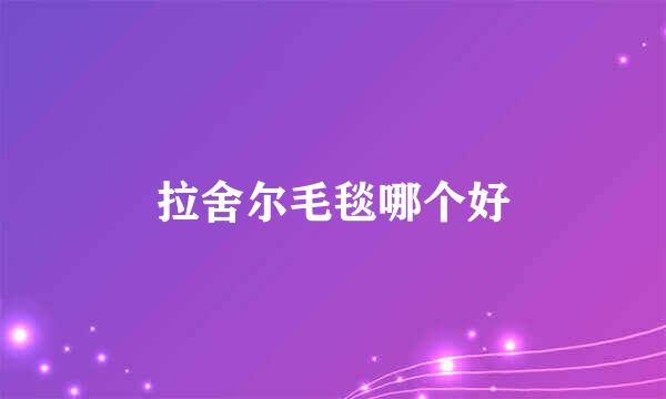 拉舍尔毛毯哪个好