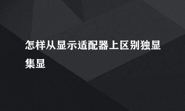 怎样从显示适配器上区别独显集显