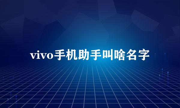 vivo手机助手叫啥名字