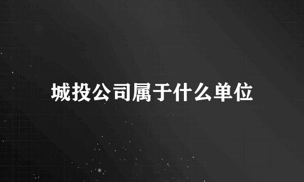 城投公司属于什么单位