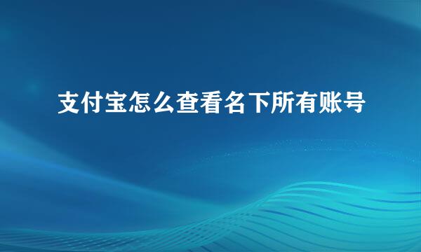 支付宝怎么查看名下所有账号