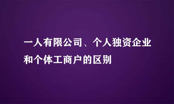 一人有限公司、个人独资企业和个体工商户的区别