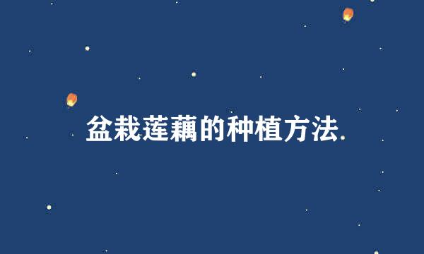 盆栽莲藕的种植方法