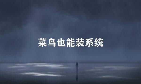 菜鸟也能装系统