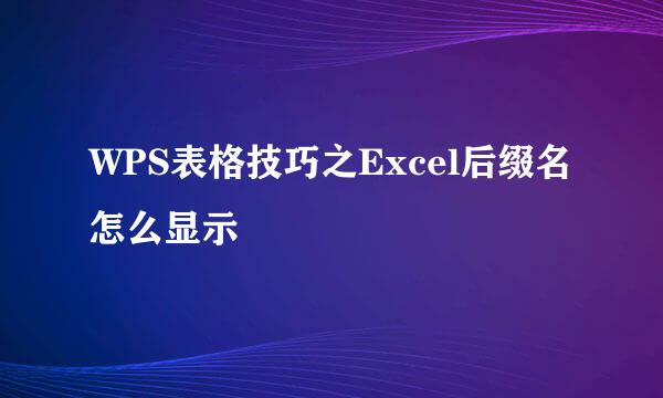 WPS表格技巧之Excel后缀名怎么显示