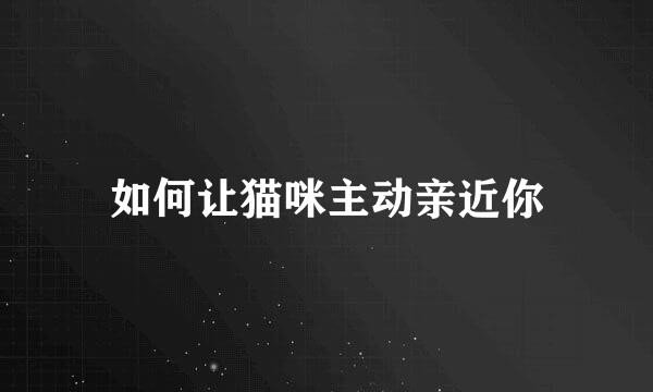 如何让猫咪主动亲近你