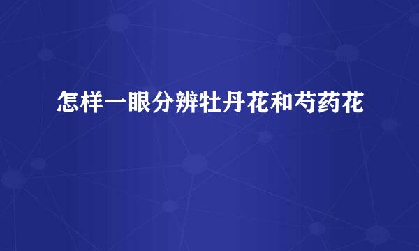 怎样一眼分辨牡丹花和芍药花
