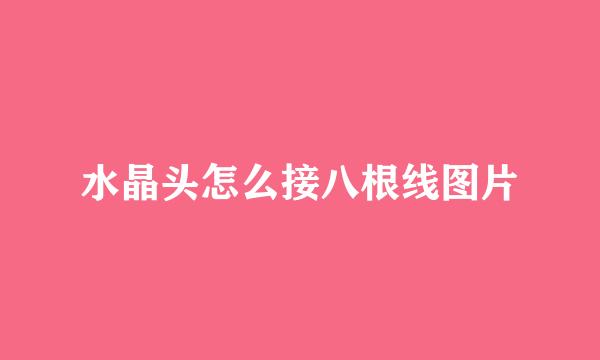 水晶头怎么接八根线图片