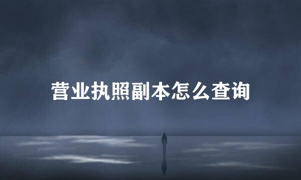 营业执照副本怎么查询