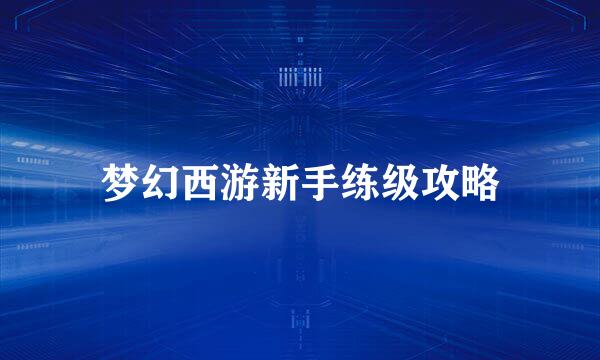 梦幻西游新手练级攻略