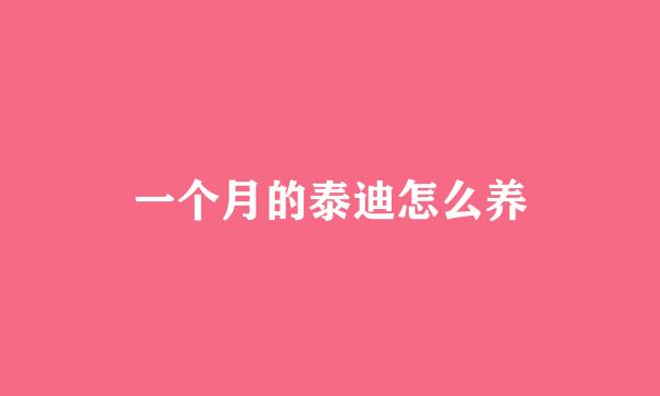 一个月的泰迪怎么养