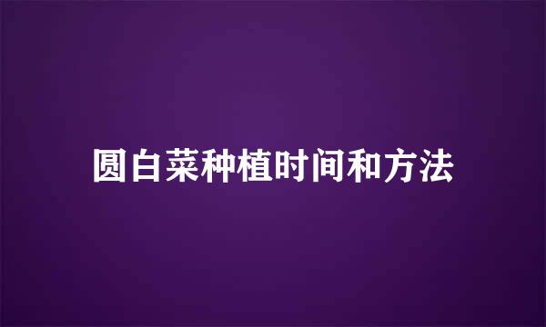 圆白菜种植时间和方法