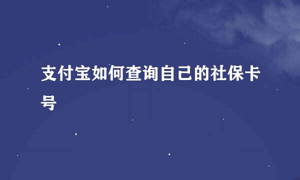 支付宝如何查询自己的社保卡号