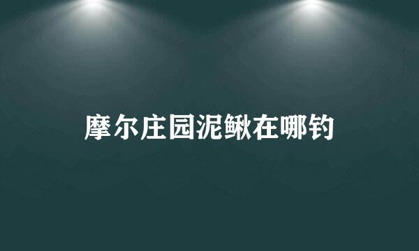 摩尔庄园泥鳅在哪钓