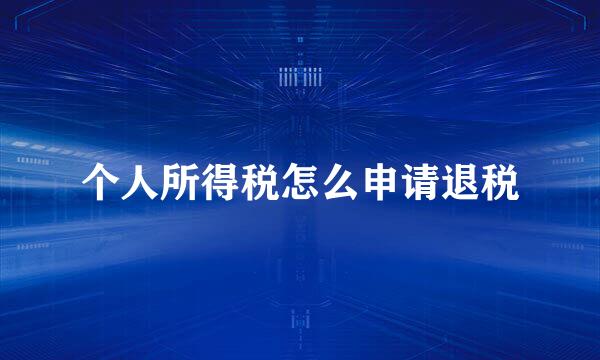 个人所得税怎么申请退税
