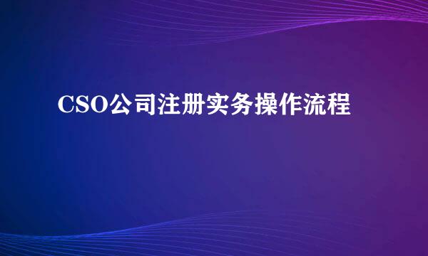 CSO公司注册实务操作流程