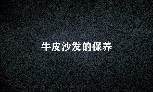 牛皮沙发的保养