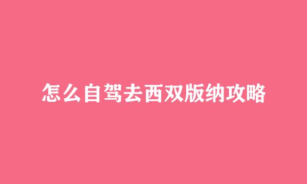 怎么自驾去西双版纳攻略