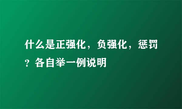 什么是正强化，负强化，惩罚？各自举一例说明