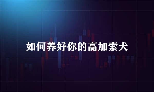 如何养好你的高加索犬