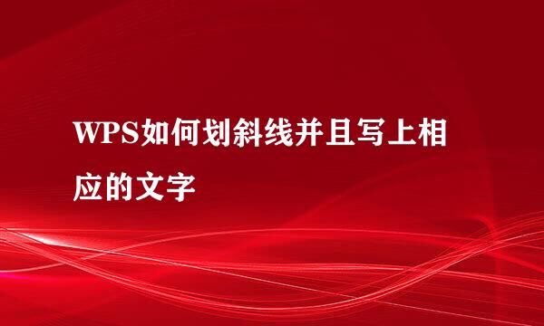 WPS如何划斜线并且写上相应的文字