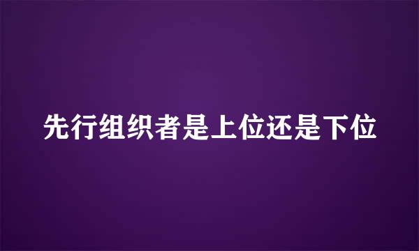 先行组织者是上位还是下位