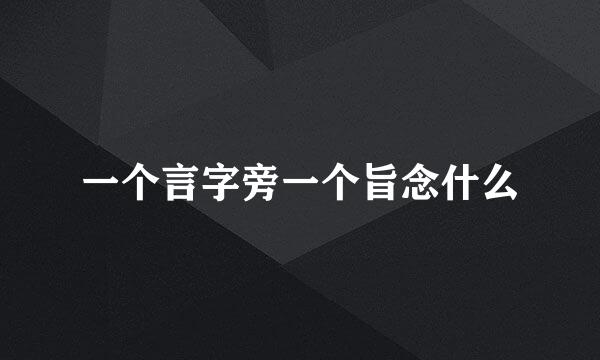 一个言字旁一个旨念什么