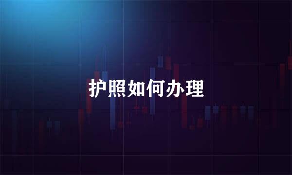 护照如何办理