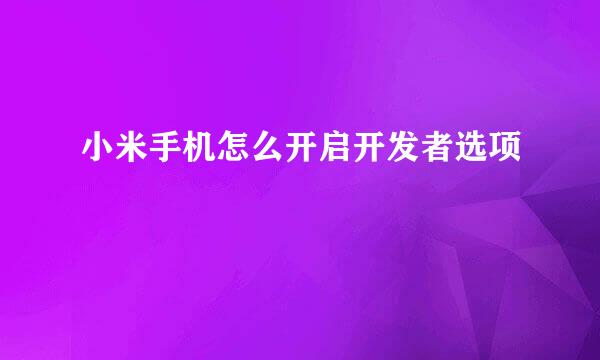 小米手机怎么开启开发者选项