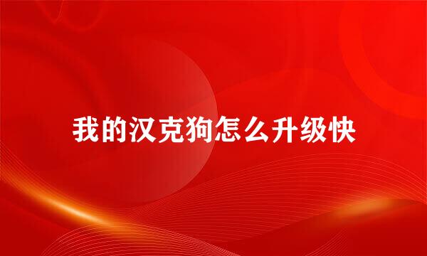 我的汉克狗怎么升级快