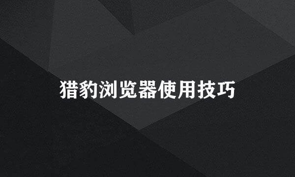 猎豹浏览器使用技巧