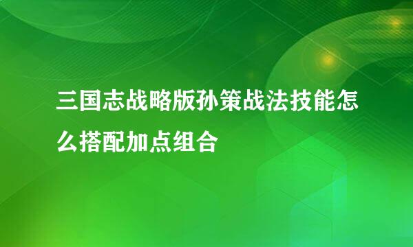 三国志战略版孙策战法技能怎么搭配加点组合