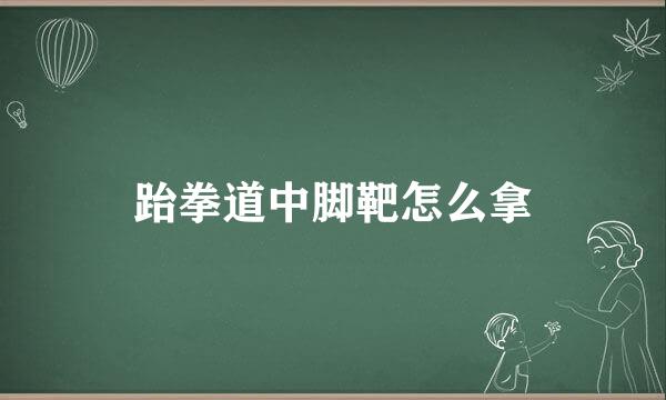 跆拳道中脚靶怎么拿