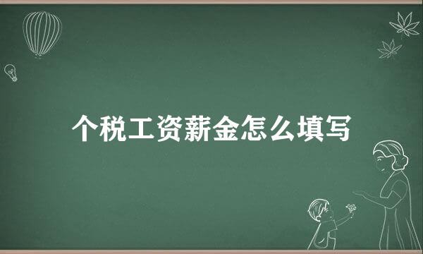 个税工资薪金怎么填写