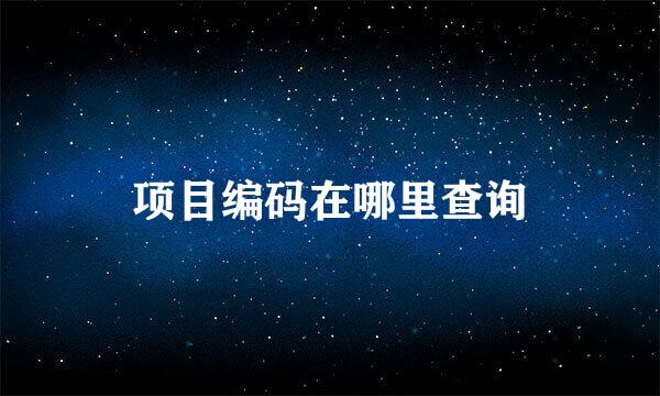 项目编码在哪里查询