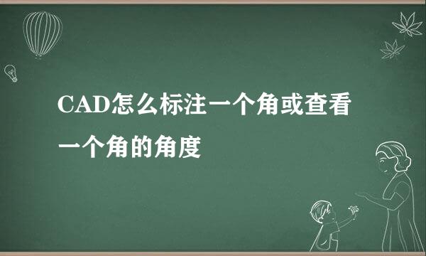 CAD怎么标注一个角或查看一个角的角度