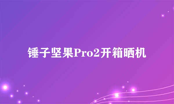 锤子坚果Pro2开箱晒机