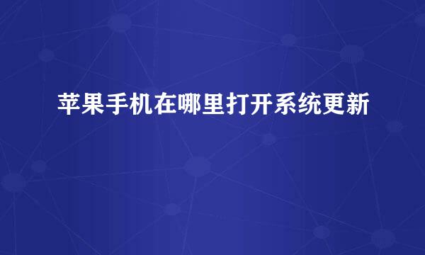 苹果手机在哪里打开系统更新