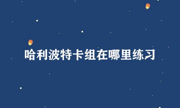 哈利波特卡组在哪里练习