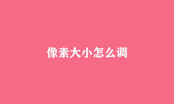 像素大小怎么调