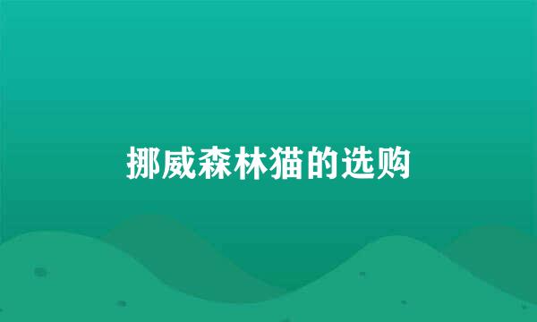 挪威森林猫的选购