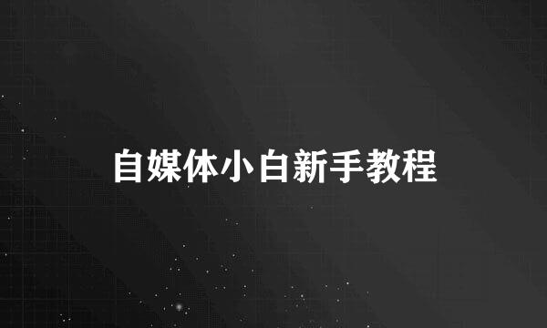自媒体小白新手教程