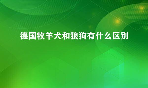 德国牧羊犬和狼狗有什么区别