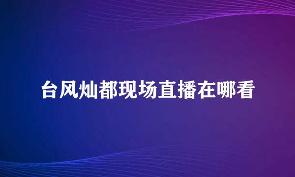 台风灿都现场直播在哪看
