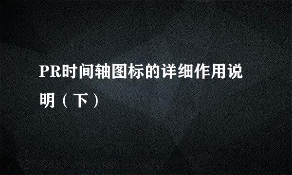 PR时间轴图标的详细作用说明（下）