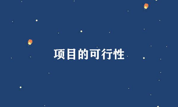 项目的可行性