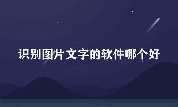 识别图片文字的软件哪个好