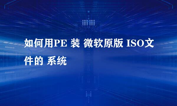 如何用PE 装 微软原版 ISO文件的 系统
