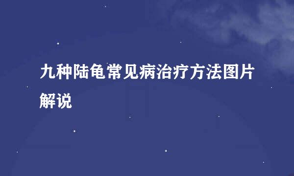 九种陆龟常见病治疗方法图片解说